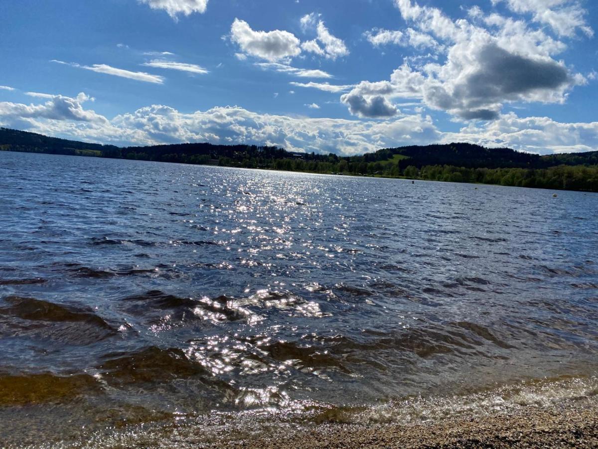 Luxury Apartman Lipno Lipno nad Vltavou Zewnętrze zdjęcie