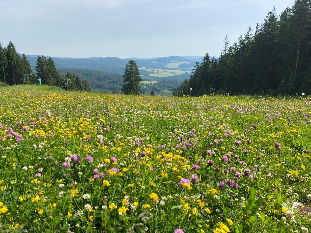 Luxury Apartman Lipno Lipno nad Vltavou Zewnętrze zdjęcie